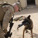 ARCENT K-9 Conducts EOD Training