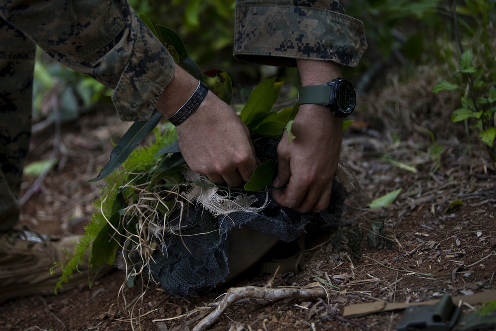 Enhanced Squad Leader Course: Tactical Rope Suspension