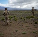 Platoon Mounted Live Fire Lanes