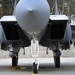 Maintaining ACE concepts through multi-capable Airmen