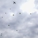 Jim &quot;Pee Wee&quot; Martin's 100th Birthday Jump Fest
