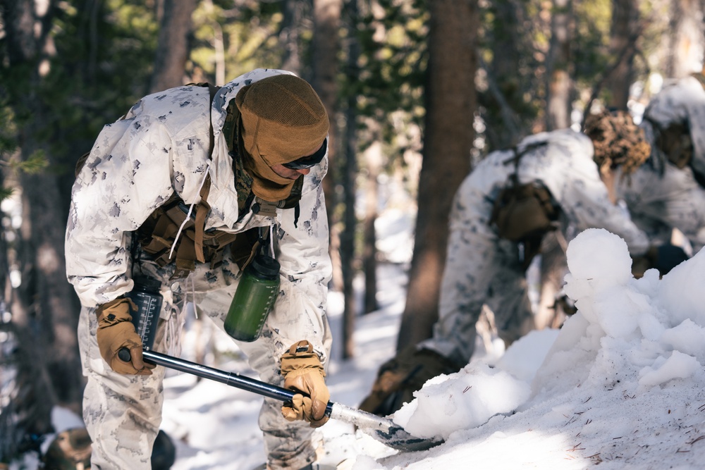 2/5 Marines conclude MTX with final exercise