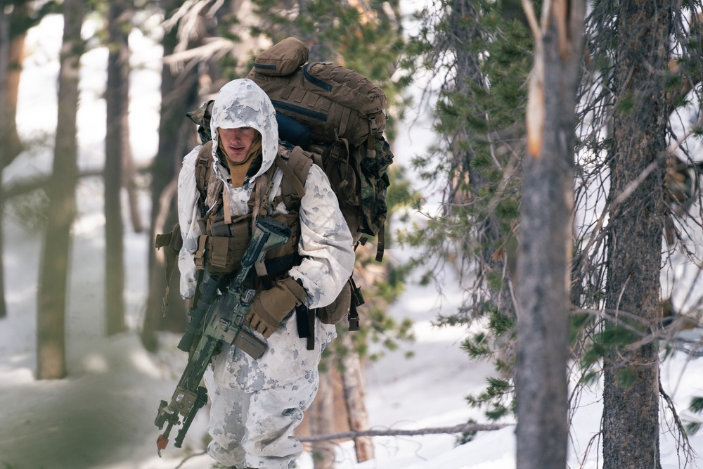 DVIDS - Images - 2/5 Marines conclude MTX with final exercise [Image 5 ...