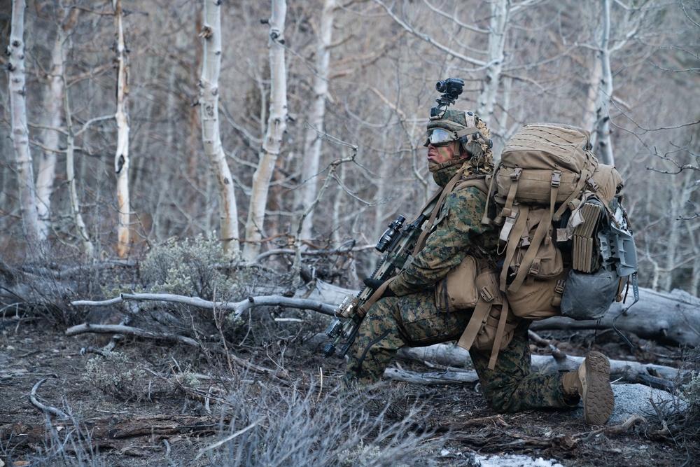 2/5 Marines conclude MTX with final exercise