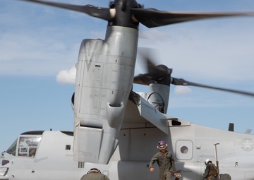 MRF-D conducts FARP exercise at RAAF