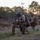 137th SOW participates in Ability to Survive and Operate (ATSO) exercise at Razorback Range, Ark. 137th SOW participates in Ability to Survive and Operate (ATSO) exercise at Razorback Range, Ark.