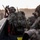 137th SOW participates in Ability to Survive and Operate (ATSO) exercise at Razorback Range, Ark. 137th SOW participates in Ability to Survive and Operate (ATSO) exercise at Razorback Range, Ark.