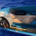 Coast Guard seeks public assistance identifying owner of adrift dinghy off Oahu