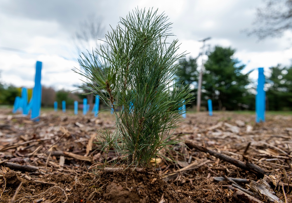 Crooked Creek hosts volunteer tree-planting Earth Day event