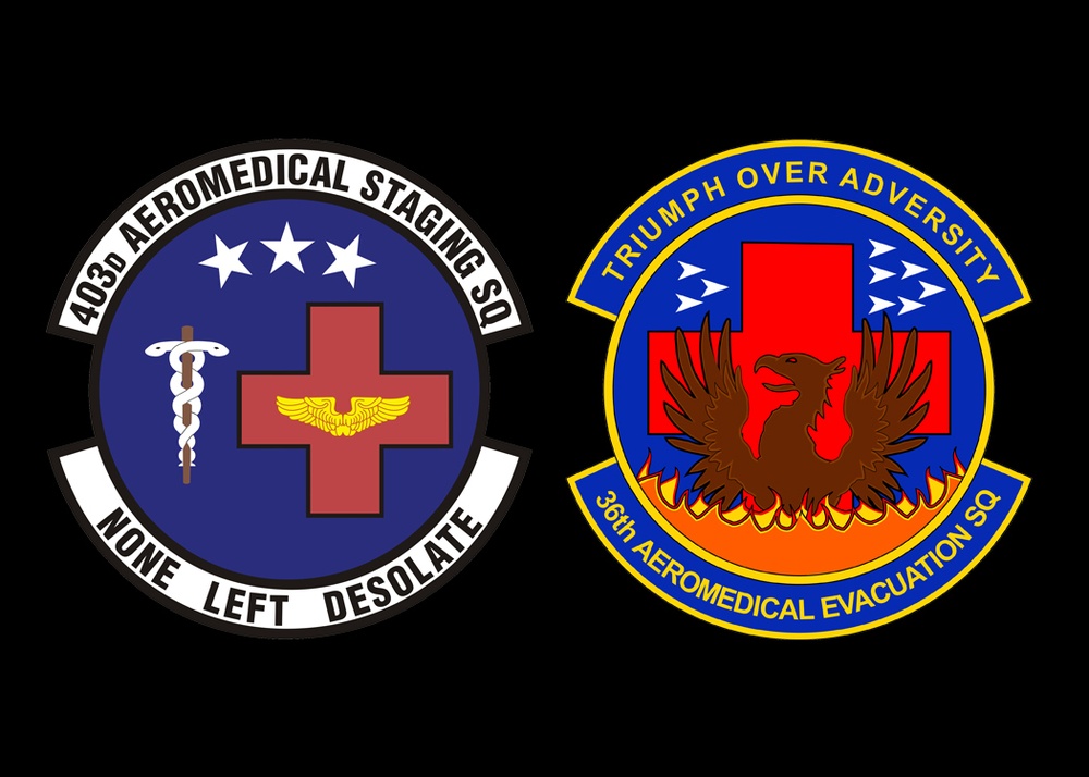 403rd Wing medical squadrons