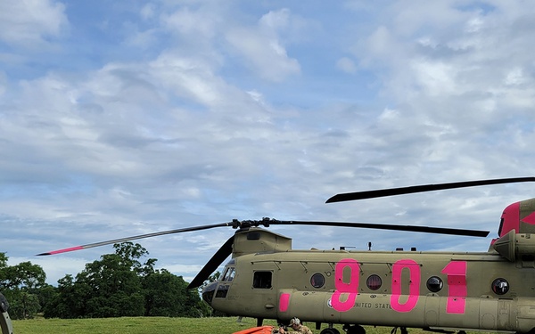 Teamwork shines at annual Cal Guard, CAL FIRE training