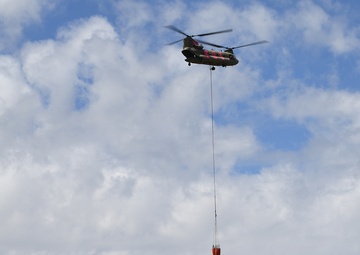 Teamwork shines at annual Cal Guard, CAL FIRE training