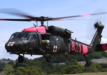 Teamwork shines at annual Cal Guard, CAL FIRE training