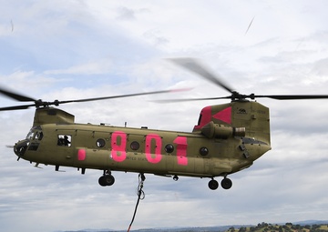 Teamwork shines at annual Cal Guard, CAL FIRE training