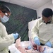 Perfused Cadaver Training