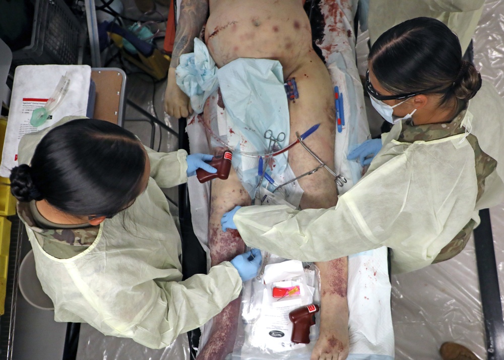 Perfused Cadaver Training