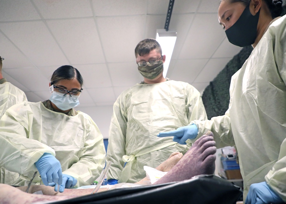 Perfused Cadaver Training