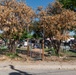 Laughlin's 47th Student Squadron serves Del Rio in STUS Serve Day