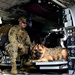 Kunsan, Camp Humphreys participate in joint MWD medevac training