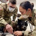BACH Soldiers learn lifesaving skills for military working dogs