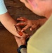MOULAGE TRAINING