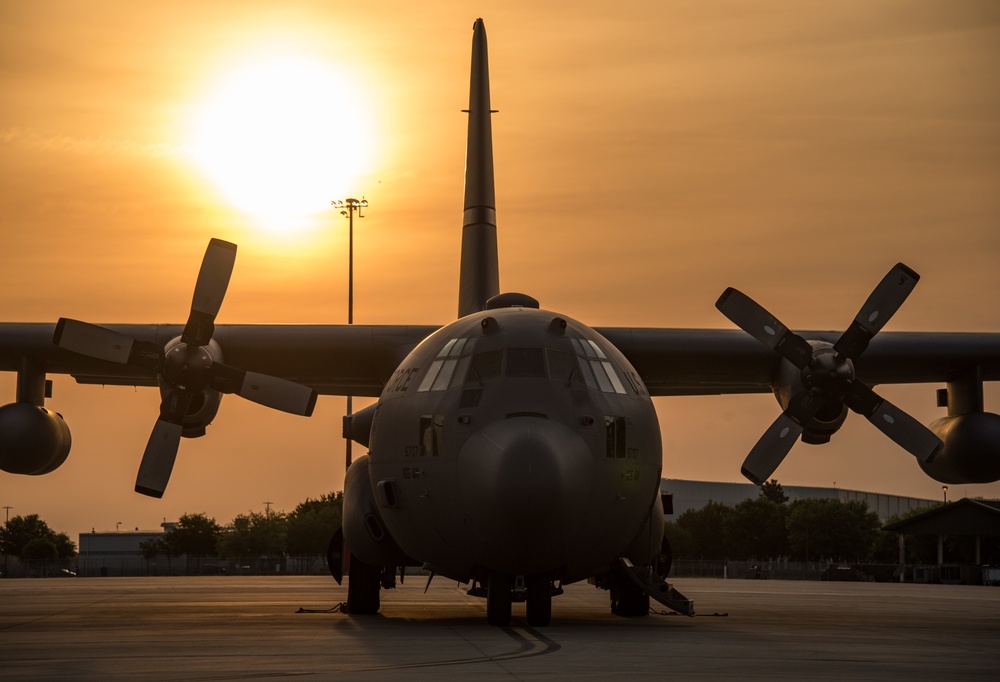 GA Air National Guard C-130H