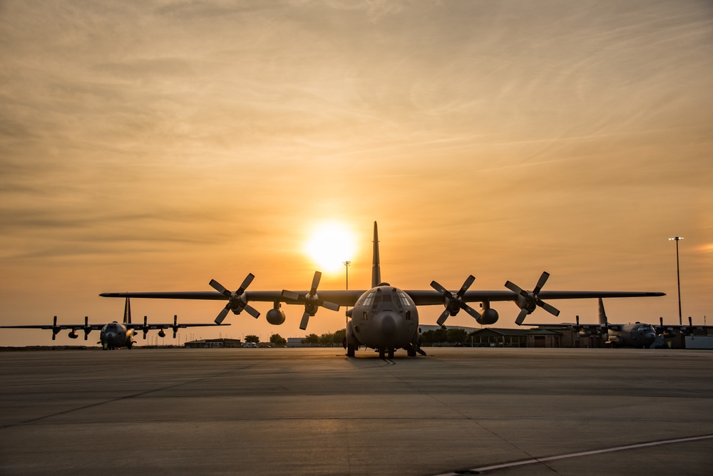 GA Air National Guard C-130H