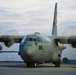 GA Air National Guard C-130H