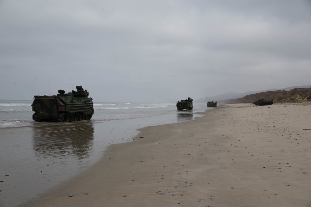 AAVs get back in the water