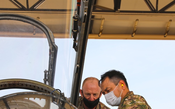 A View of the Trainer