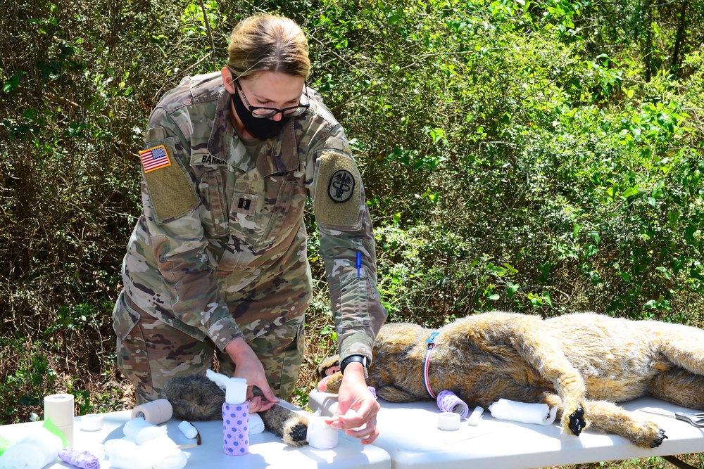 NAS Pensacola Hosts Military Working Dog First Aid Course
