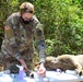 NAS Pensacola Hosts Military Working Dog First Aid Course
