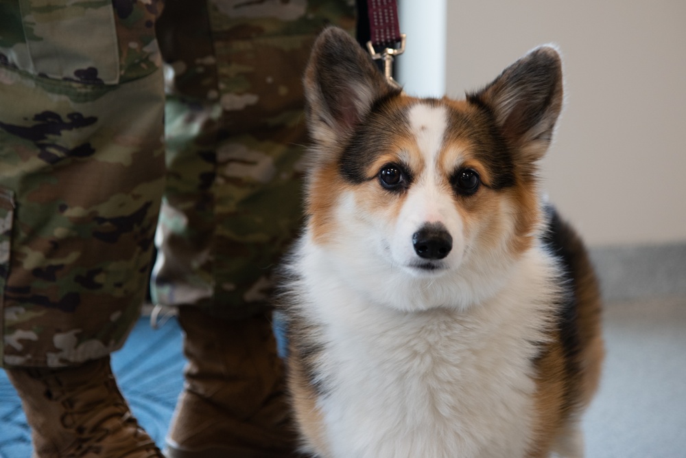 You have the corg-key to my heart