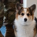 You have the corg-key to my heart