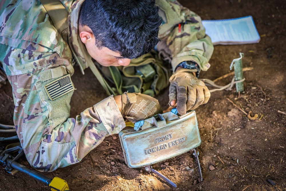 25th ID Expert Soldier Badge (ESB) &amp; Expert Infantry Badge (EIB) 2021