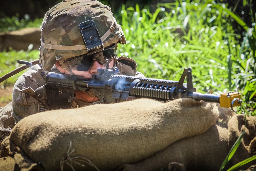 25th ID Expert Soldier Badge (ESB) &amp; Expert Infantry Badge (EIB) 2021