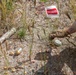 EOD with MRF-D Conducts UXO Sweep