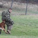 Doggy aggression