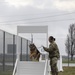 Working dog demo