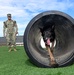 MILITARY WORKING DOGS