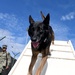 Military Working Dog Obedience Course