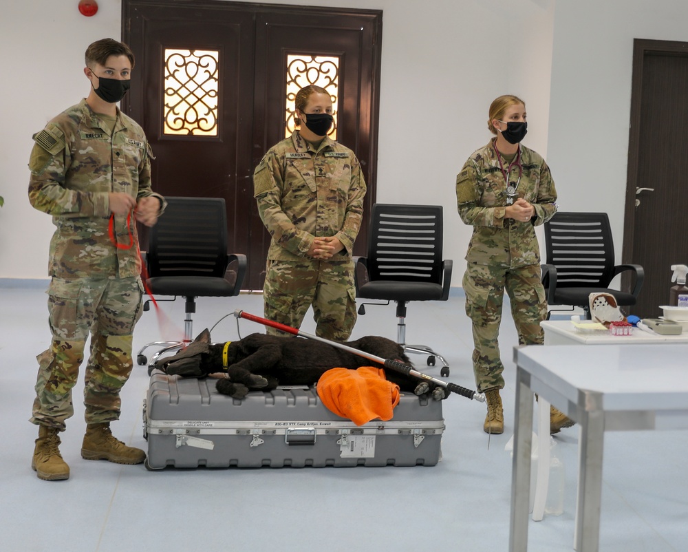 ASG-Kuwait and local veterinarians team up to train on canine surgical procedures