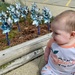 Pinwheels placed to promote childhood safety