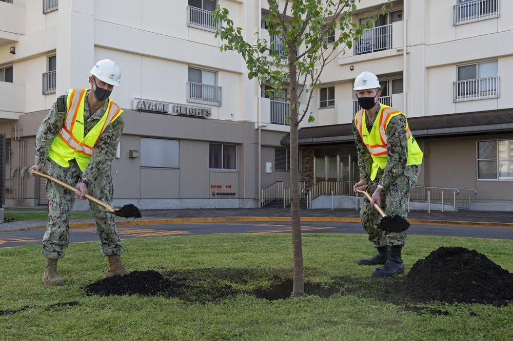 CFAY plants trees to celebrate Arbor Day