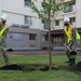 CFAY plants trees to celebrate Arbor Day