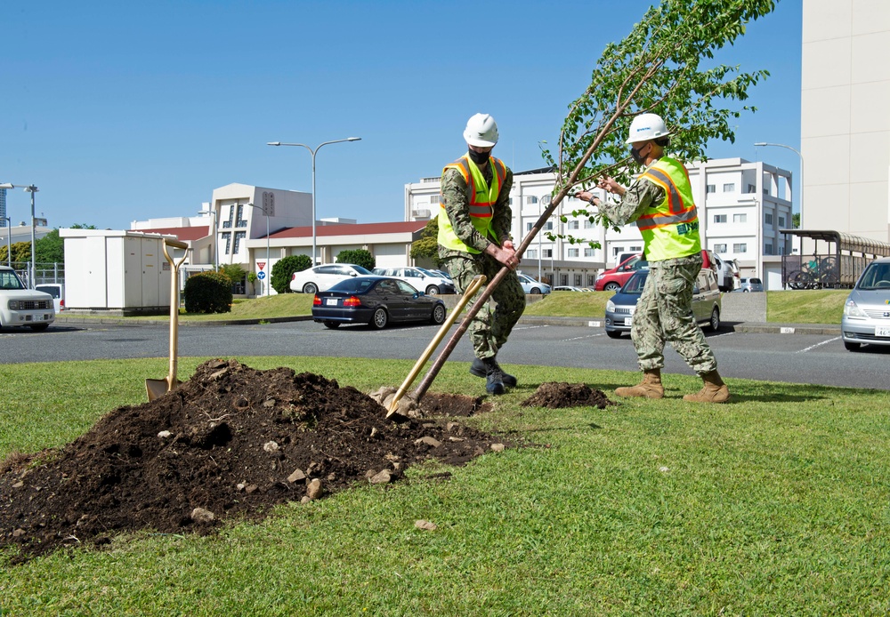 CFAY plants trees to celebrate Arbor Day