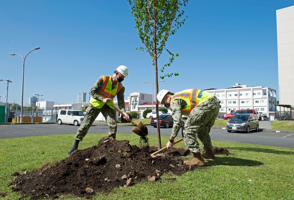 CFAY plants trees to celebrate Arbor Day