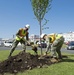 CFAY plants trees to celebrate Arbor Day