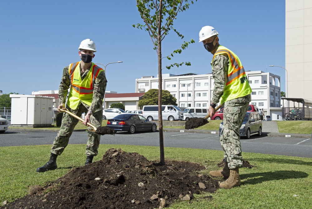 CFAY plants trees to celebrate Arbor Day
