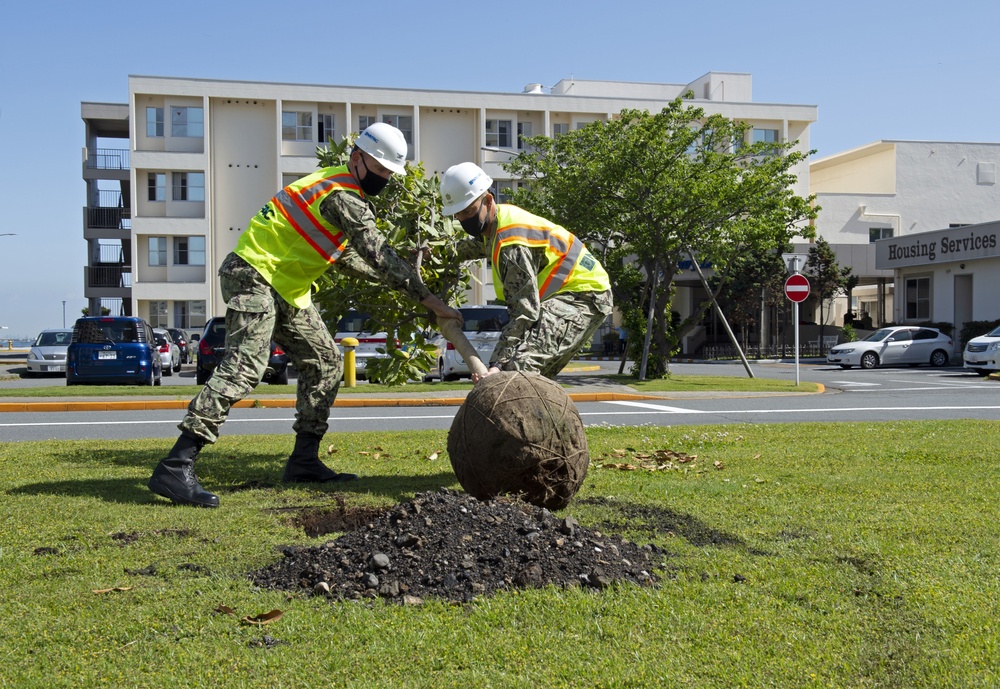 CFAY plants trees to celebrate Arbor Day